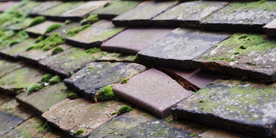 West Wickham roof repair costs